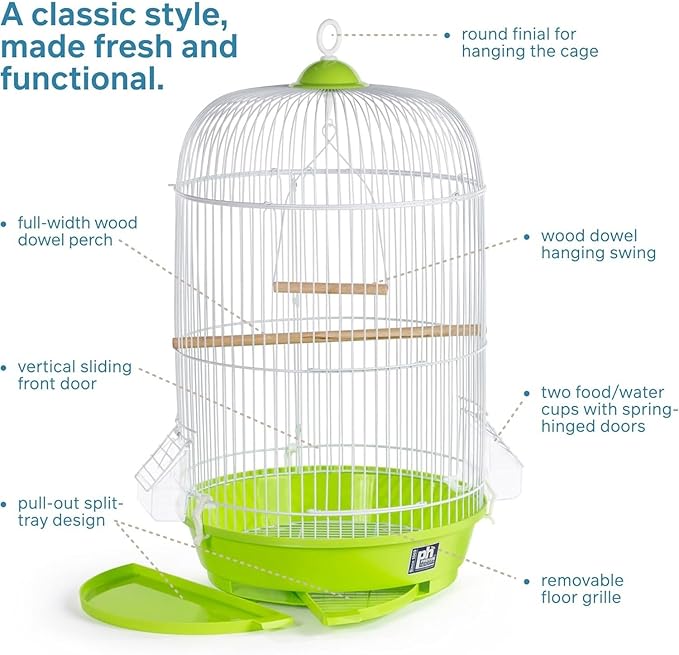 Elegant Escape Small Round Bird Cage with Graceful Design, Durable Metal Construction, Compact Size, and Comfortable Space Green