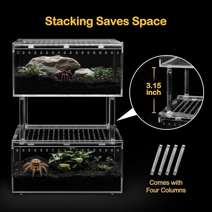 PC Small Reptile Terrarium Starter Kit,Magnetic Jumping Spider Enclosure,Hermit Crab Tank,Arboreal Tarantula Cage for Praying Mantis,Frog Vivarium,Lizard Container,Insect Housing,Gecko Habitat