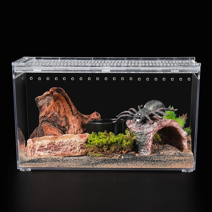 Reptile PC Terrarium 10.2" x 5.9" x 5.7" Full View Reptile Aquarium Tank Starter Kit for Insect Plant Gecko Spider Habitat Amphibians Enclosure with Hide Cave Feeding Bowl