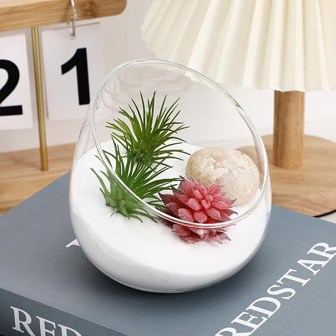BESPORTBLE Slant Cut Glass Terrarium Bowl - Clear Glass Vase for Succulents, Air Plants, Cactus, Hydroponic Plants, Decorative Centerpiece, 4.72 X 4.72 X 3.93 Inch
