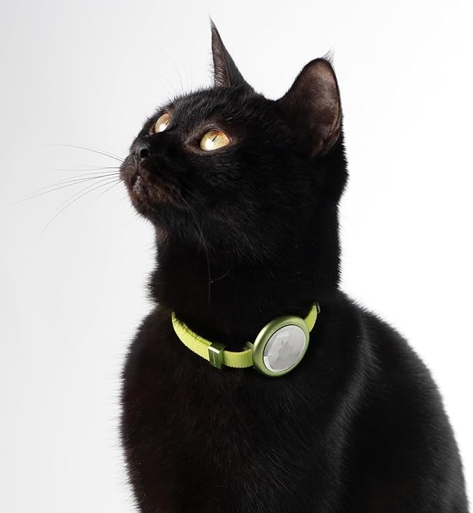 Safety Cat Collar Pro, Lightweight Elastic Release Non Breakaway Cat Collar Adjustable with Snap Fastener for Kitten All Small Large Cats, US IDA Gold Award (Olive, S 5.9-11.8")