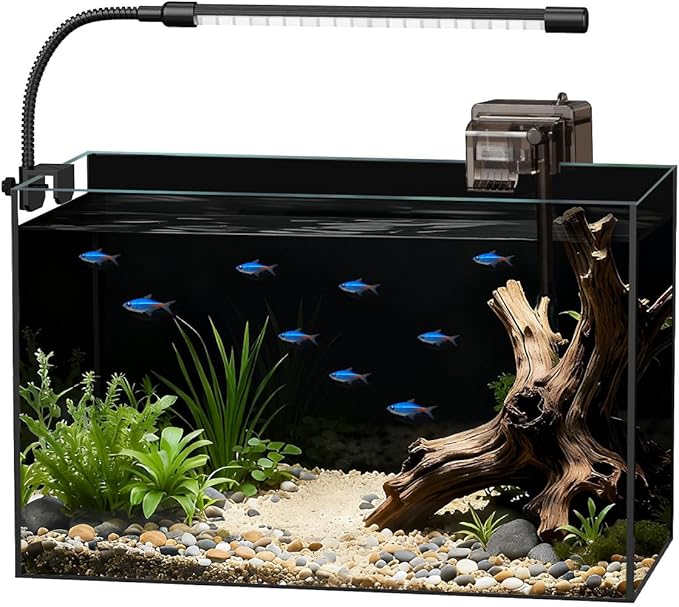 Glass Fish Tank Kit, 5 Gallon Betta Fish Tank Aquarium Starter Kit with Filter, Lights, Lid, for Betta, Goldfish, Small Fish or shrimg