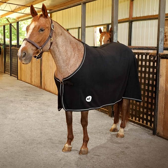 Jeffers Equine Elite Fleece Horse Cooler Blanket, 72 Inch – Soft, Adjustable Fit, Lightweight, Easy Care, Moisture Wicking Cooling Sheet with Surcingle for Post Exercise, Travel for Horses – Black