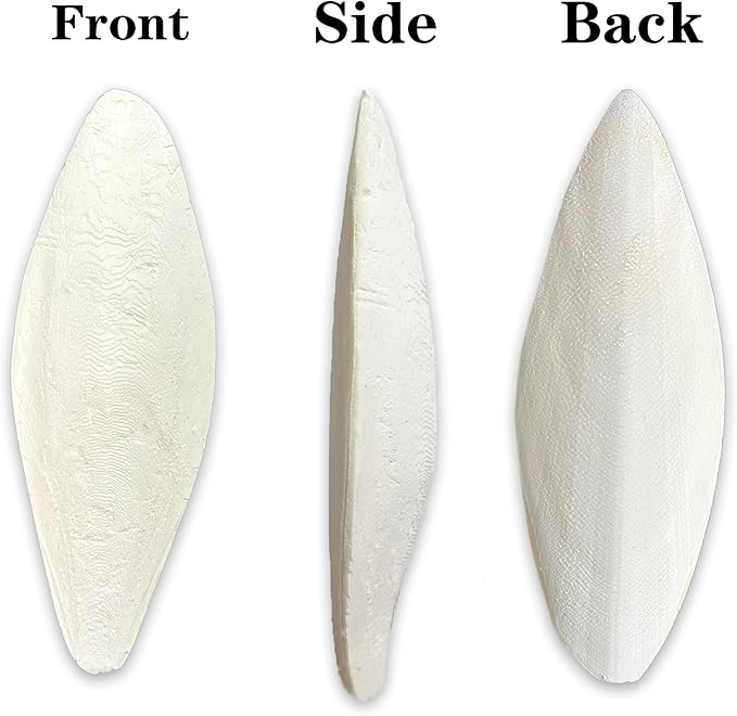 Bird Cuttlebone for Parakeets Cuttlebone for Birds - 100% Natural Cuttlefish Bone Bulk Chew Toy Bird Bites Calcium Stone for Canaries Tortoises,Snails,Reptiles,Parrots,Cockatiel