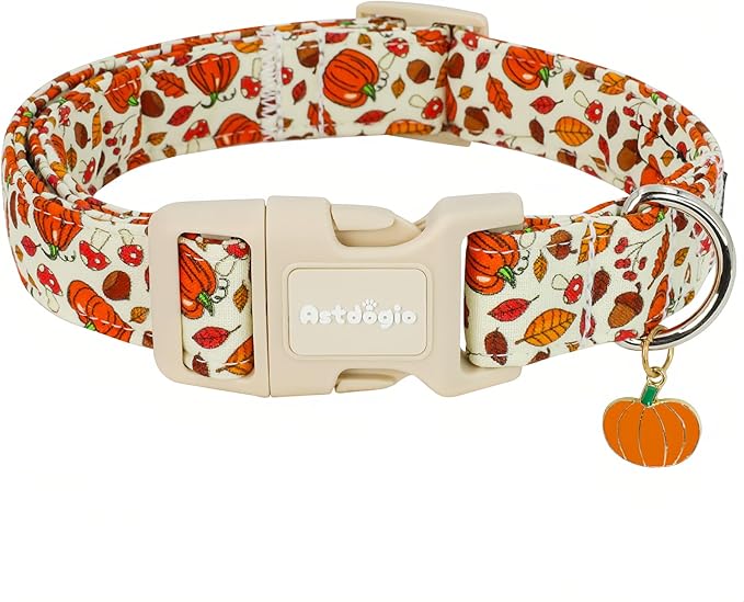 Fall Dog Collar – Halloween & Thanksgiving Dog Collars for Large Dogs – Soft & Comfortable Autumn Puppy Collar with Quick Release Buckle, Large Dog Collars for Girl Boy Dogs-L