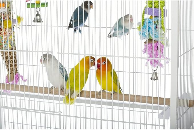 Maykoosh Iron Bird Cage - Spacious Flight Cage with Durable Ironwork & Perches
