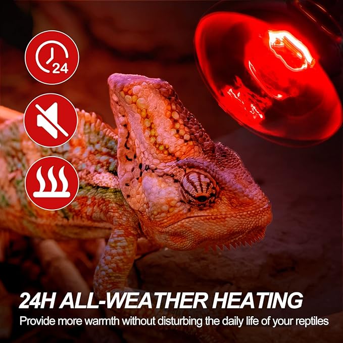 WACOOL 4Pack Reptile Heat Lamp Day & Night Kit 75W, Nature Simulated Basking Daylight & Nightlight UVA Heat Lamp Bulbs for Reptiles & Amphibians