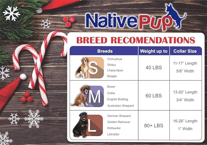 Native Pup Christmas Dog Collar- Winter Holiday Collars for Pets- Xmas Gift for Puppy- Santa, Reindeer, Snowman, Candy Cane, Red Green- Girl Boy- Small, Medium, Large Breeds (Santa & Reindeer, Medium)