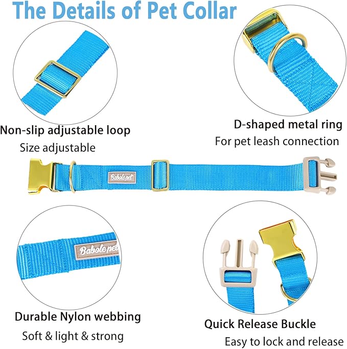Nylon Dog Collar - Adjustable Blue Soft Webbing Dog Collars for Small Medium Large Dogs Boy Girl Puppy Collar with Safety Metal Buckle XS