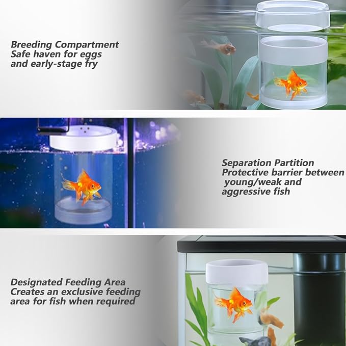 Breeder Box for Fish Tank, Acrylic Aquarium Divider Breeding Box, Floating Mesh Isolation Hatchery Incubator, Guppies Fishes Live Hatchery, Betta Fish Breeding Boxes, Baby Fishes Tank Separator