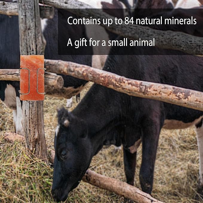 kathson Himalayan Salt Block for Horses,Pack of 2 (8 x 4 x1 Inche) Natural Mineral Salt Block with Vital Minerals Animal Licking Salt Brick for Deer Cattle Sheep and Other Livestock