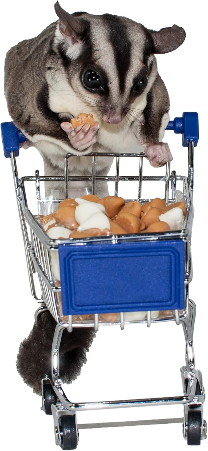 Yogu Drops - All Natural Healthy Yogurt Treat - for Sugar Gliders, Prairie Dogs, Monkeys, Squirrels, Guinea Pigs, Rabbits, Chinchillas, Rats, Marmosets, Degus & Other Small Pets (5.5 oz.)