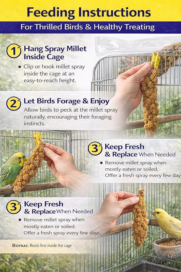 1lb Millet Tips & Tails for Birds - Parakeets, Cockatiels, Lovebirds, Finches, Budgies, Canaries, Cockatoos - Natural & Healthy Millet for Birds - Parakeet Food & Treats for All Parrots (2 Pack)