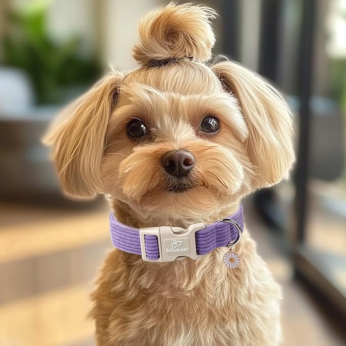 Cute Corduroy Dog Collar - Lavender Adjustable Dog Collars for Medium Dogs 25-50lbs, Fade-Proof with Secure Snap & Little Charm, Christmas Birthday Gift, M