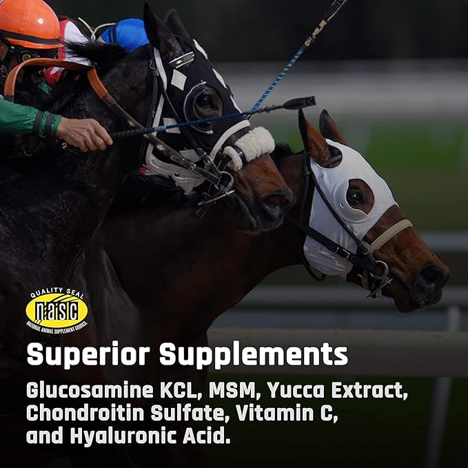 Majesty's Flex HA Wafers - Superior Performance Horse / Equine Joint Support Supplement - HA, Vitamin C, Yucca, Glucosamine - 60 Count (2 Month Supply)