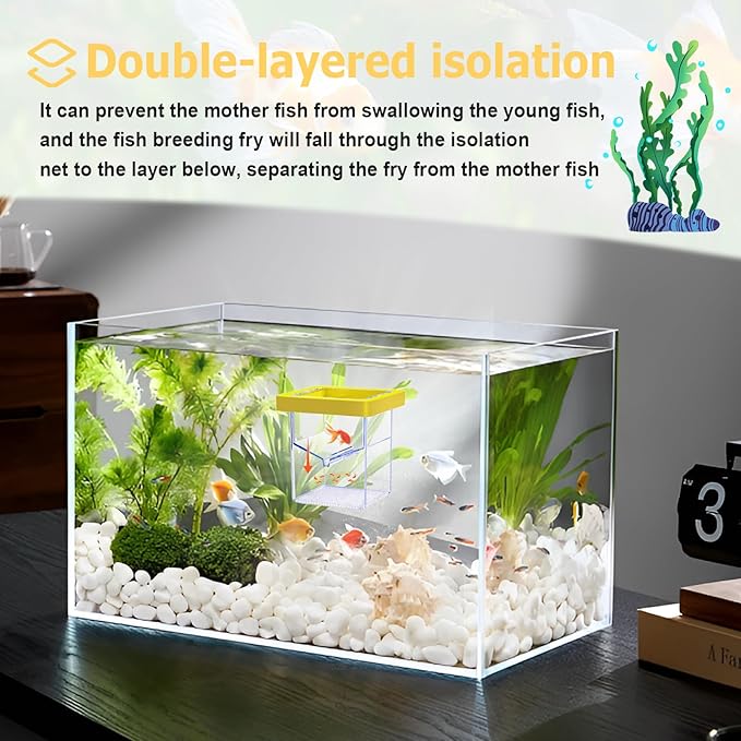 Floating Fish Breeding Isolation Box for Aquarium Tank, Acrylic Isolation Box for Baby Fish, Clownfish, Betta Eggs