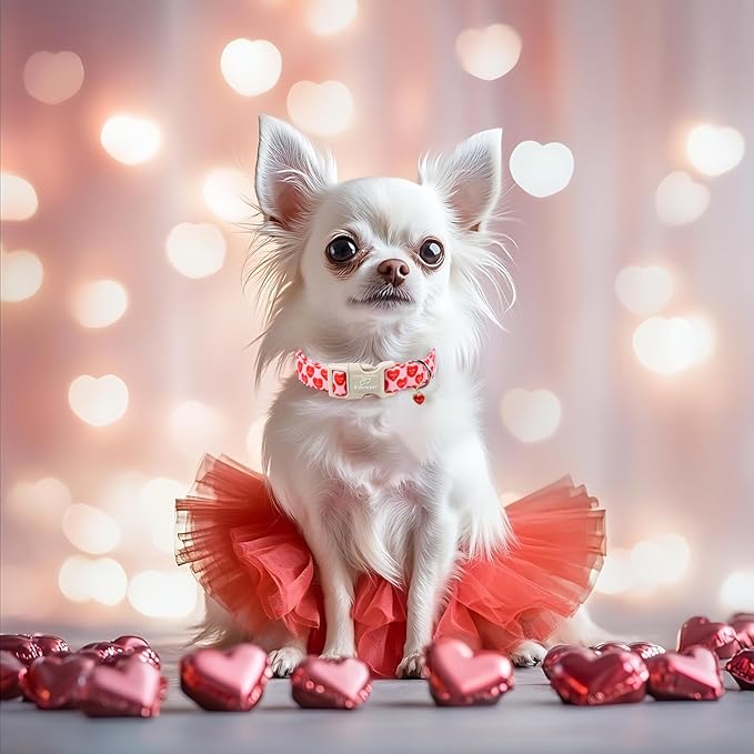 Valentines Dog Collar for Large Dogs - Valentine Red Conversation Hearts Dog Collars, Love Boy Girl Dogs Collars, Lightweight Adjustable Cute Puppy Collar with Quick-Release Buckle L