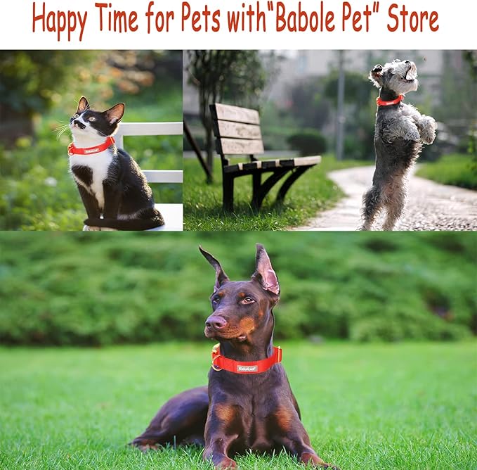 Nylon Dog Collar - Adjustable Red Soft Webbing Dog Collars for Small Medium Large Dogs Boy Girl Puppy Collar with Safety Metal Buckle XS
