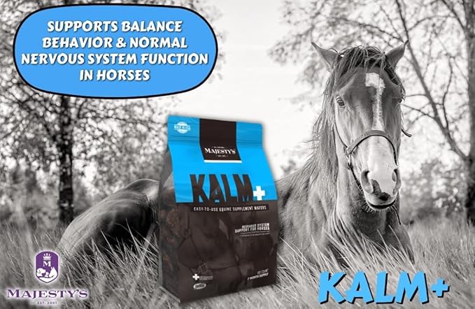Majesty's Kalm Wafers - Supports Horse / Equine Balanced Behavior and Normal Nervous System Function - Tryptophan, Vitamin B1, Winter Cherry, Inositol - 30 Count (1 Month Supply)