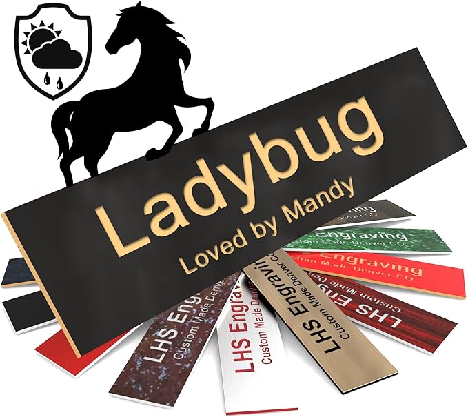 Personalized Horse Stall Name Plates, 2x8 Horse Stall Signs with Adhesive, All Weather UV Protected, Black Plastic Gold Letters - Made in USA - B3