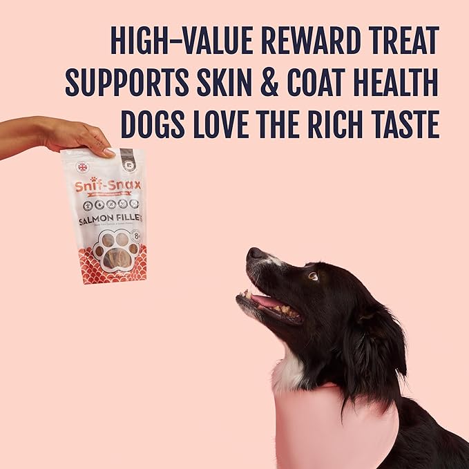Snif-Snax Salmon Fillets Dog Treats (8oz) – All Natural Human Grade Grain Free Training & Reward – Protein Rich Salmon Sticks for Dogs, Healthy Puppy Treats, Soft Jerky-Style Strips