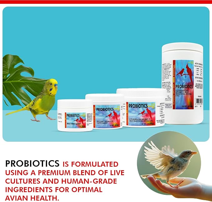 Morning Bird Probiotics for Birds 16 oz – Digestive Health Supplement Supporting Gut Balance, Nutrient Absorption & Immune Support – Easy Mix Powder Supplement for All Bird Species