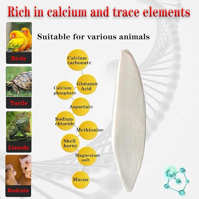 Bird Cuttlebone for Parakeets Cuttlebone for Birds - 100% Natural Cuttlefish Bone Bulk Chew Toy Bird Bites Calcium Stone for Canaries Tortoises,Snails,Reptiles,Parrots,Cockatiel