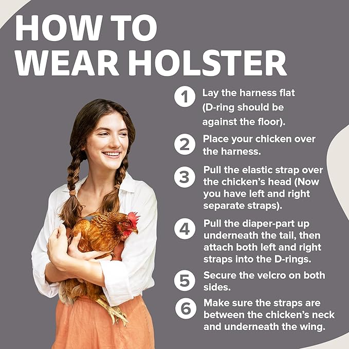 Hen Holster Bikini Diaper, Bird Diaper & Harness for Hens, Roosters, Ducks, Geese - with Removable Vinyl Liner, Adjustable Fit for Outdoor Adventures & Indoor Use - Easy to wear - S/M, Gray