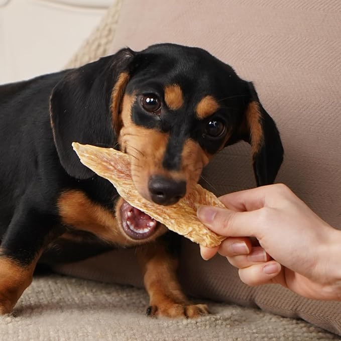MON2SUN Dog Treats Chicken Jerky, Single-Ingredient, Rawhide-Free, High Protein, Low Fat, Training Treats for Small to Large Dogs, 14.1 oz