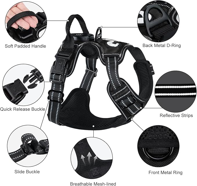 Taglory Light Up Dog Harness, Rechargeable No Pull Dog Vest with 3 Lightning Modes, Reflective Dog Harness with 2 Leash Clips & 4 Adjustable Slide Strips for Large Dogs, Black-Purple, XL