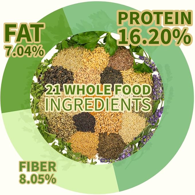 Premium Parrot Food| Protein-Rich Low-Fat Formula | Cockatiel, Conure, Lovebird, Quaker, Parrotlet | No Corn, Soy, Peanuts | Gourmet Whole Grains & Seeds | Daily Maintenance Blend (1 lb)
