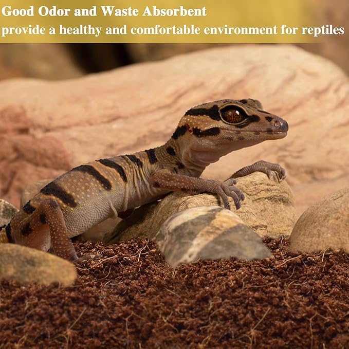 ZeeDix 6 Pack Coconut Fiber Substrate, 100% Organic Coconut Husk Coco Coir Brick Terrarium Bedding for Reptiles, Tortoise, Bearded Dragon, Leopard Gecko, Snake, Hermit Crabs, Frogs, Tarantula