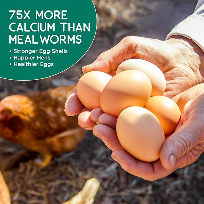 4 lb Black Soldier Fly Larvae for Chickens - High Protein Chicken Feed with 75x More Calcium Than Mealworms - Healthy Poultry Treats for Ducks, Birds - Resealable Bag for Freshness