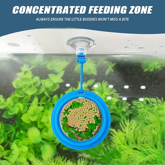 6Pcs Floating Plant Corral (A Tool Spoon is Included As a Gift.) Breathable and Light-Permeable Holes Can be Used in Aquariums 2Pcs Feeding Ring for Fish Tank Round and Square