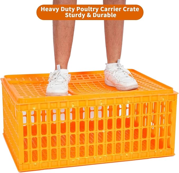 Poultry Carrier Crate Plastic Chicken Transport Crate Cage Heavy Duty Chicken Carrier Crates Crates Transport Box