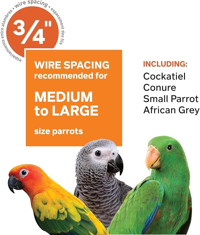 Suburban Sophistication Playtop Bird Home with Spacious Design, Durable Materials, Removable Perches Medium/Sage Green
