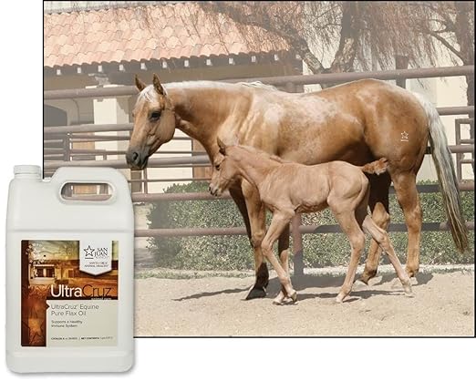 UltraCruz® Equine Pure Flax Oil, 1 Gallon