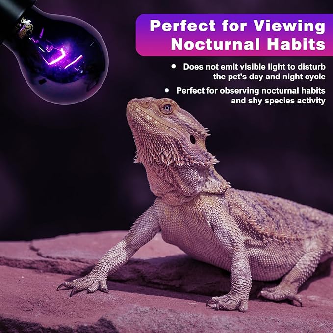 LUCKY HERP Reptile Heat Lamp 75W 2 Pack, Reptile Night Heat Bulb, Reptiles & Amphibians Basking Spot Light Bulb for Bearded Dragon, Lizard, Snake, Turtle, Chameleon