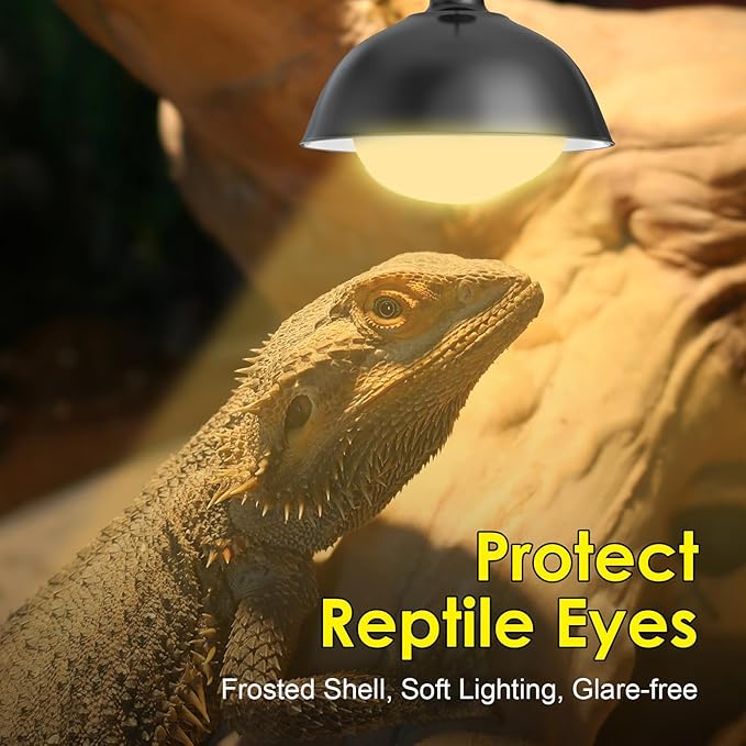 MIXJOY 2Pack 75W Reptile Heat Lamp Bulbs, Upgraded Golden Glass 60% Intense Heat Bulb UVA Daylight Basking Spot Light Bulb for Reptiles, Turtle, Lizard, Tortoise, Bearded Dragon, Gecko, Chicken