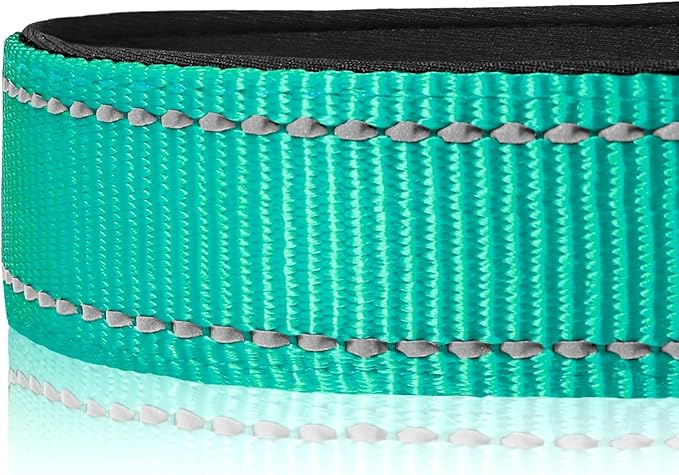 Joytale Reflective Dog Collar, Soft Neoprene Padded, Metal D-Ring, Nylon Pet Collar Adjustable for Extra Large Dogs, Teal, XL