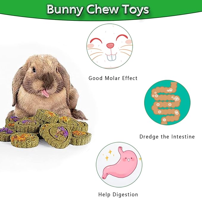 Rabbit Chew Toys for Teeth, 18PCS Natural Timothy Hay Chew Toy, Improve Dental Health for Bunny/Chinchilla/Guinea Pig/Hamsters/Holland Lop, Small Rodent Pet Molar Teeth Treats Toys