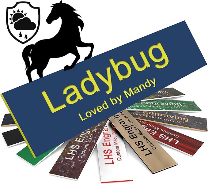Horse Stall Name Plate, 2x10 Personalized Stall Signs, UV Protected, All Weather Adhesive, Hanging, Mounting or Other, Blue Plastic with Yellow Letters - Made in USA - B20