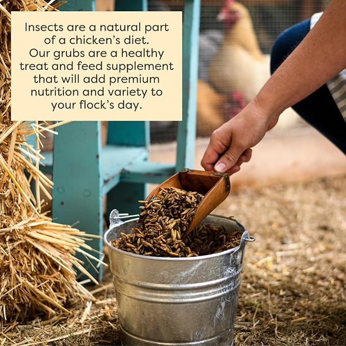 Scratch and Peck Grubs for Chickens and Ducks - 20 oz Bag - Sustainably Sourced - Naturally High Protein, Calcium Dense - Dried Black Soldier Fly Larvae Bird Treats