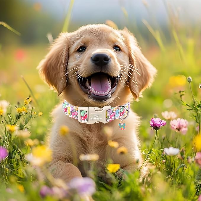 Easter Dog Collar for Large Dogs - Colorful Bunny Print Easter Collar for Male Female Dogs, Lightweight Adjustable Spring Holiaday Dog Collars with Quick Release Buckle L