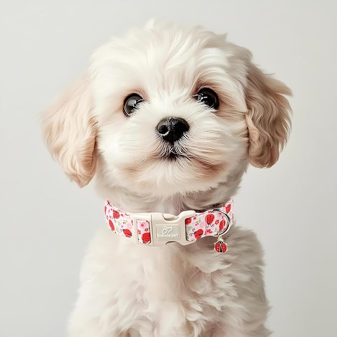 Lucky Ladybug Dog Collar for Medium Dogs - Sweet Pink Girl Dog Collars, Lightweight Adjustable Spring Garden Mom Dogs Collars with Quick Release Buckle M