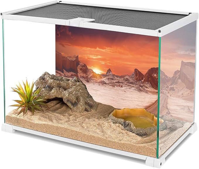AWERT 36x20 inches Sun and Desert Terrarium Background Orange Reptile Habitat Background Durable Polyester Background
