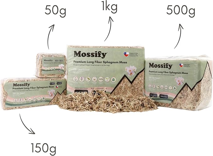 Mossify Premium Sphagnum Moss for Plants 150g, 5.3 Oz - Long Fiber Moss for Plants Indoor, Orchids, Terrariums, Gardening, Reptiles – Moisture Plant Moss for Propagation, Soil & Habitat Bedding