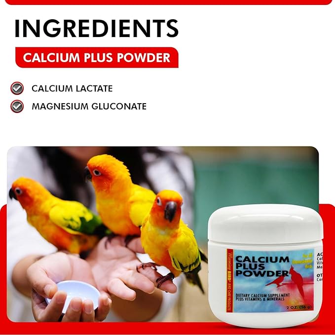 Morning Bird Calcium Plus Powder for Birds 2 oz – Calcium Supplement with Vitamin & Protein Powder – Supports Bone Health, Muscle Function & Digestive Balance – Easy-to-Mix Calcium Formula