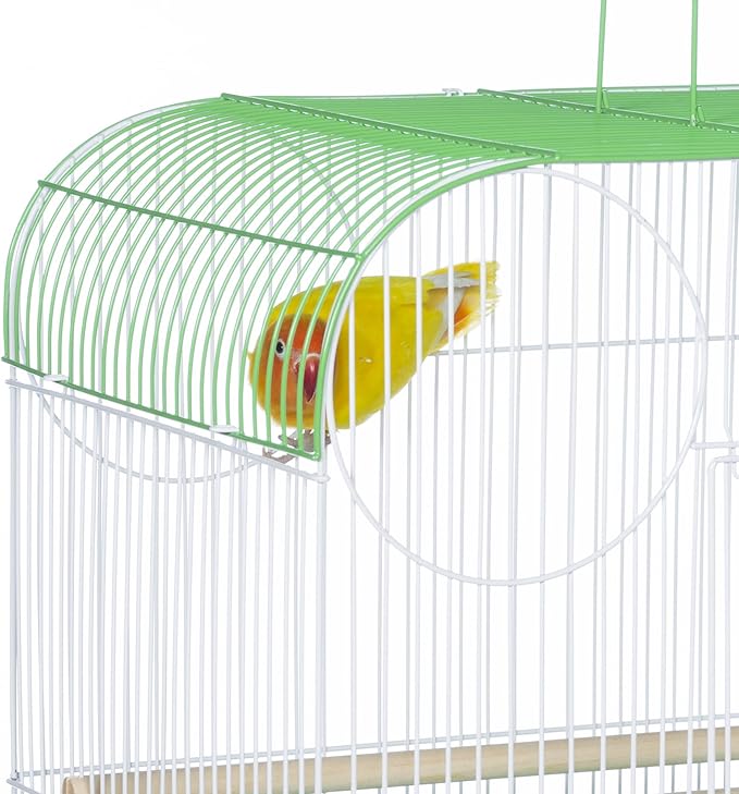 Prevue Pet Products South Beach Flat Top Bird Cage, Lime Green (SP50091),14 1/8" L x 11 1/4" W x 18 1/8" H