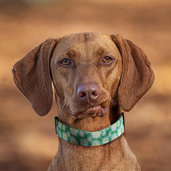 QQPETS Adjustable Soft Dog Collar: Print Flower Pink Multicolor Cute Patterns for XS Small Medium Large Pet Girl Boy Puppy Walking Running Training